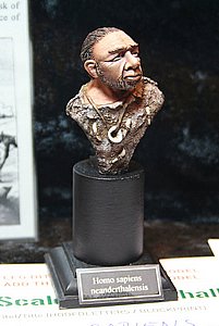 IMG_4509.JPG