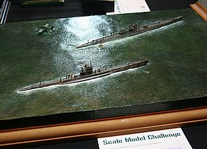 dsIMG_4030.JPG