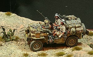 IMG_7119a.jpg