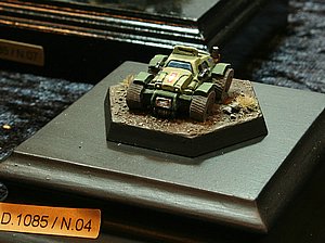 sfIMG_7253.jpg