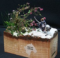 IMG_9409.JPG