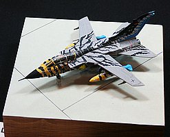 vIMG_9127.JPG