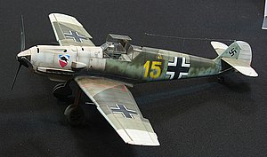 vIMG_9132.JPG