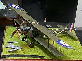 IMG_5173.JPG