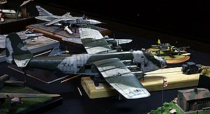 IMG_3349.JPG