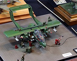 IMG_3366.JPG
