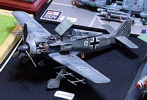 IMG_3397.JPG