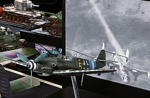 IMG_3424.JPG