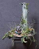 IMG_3483.JPG