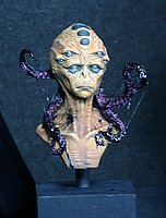 IMG_3494.JPG