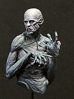 IMG_3530.JPG