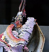 IMG_3574.JPG