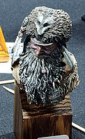 IMG_3872.JPG