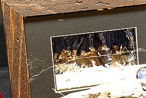 IMG_4397.JPG