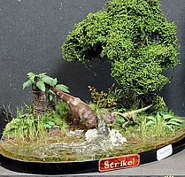 IMG_4439.JPG