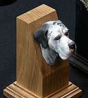 IMG_7716.JPG