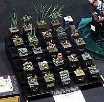 IMG_7829.JPG