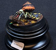 IMG_7970.JPG