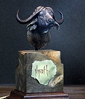 IMG_8030.JPG