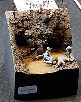 bIMG_7356.JPG