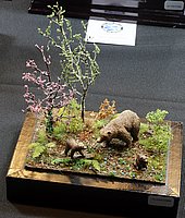 bIMG_7372.JPG