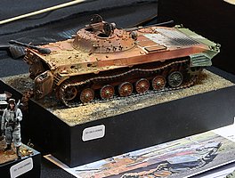 cIMG_6985.JPG