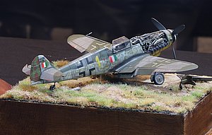 kIMG_7051.JPG