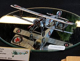 kIMG_7075.JPG