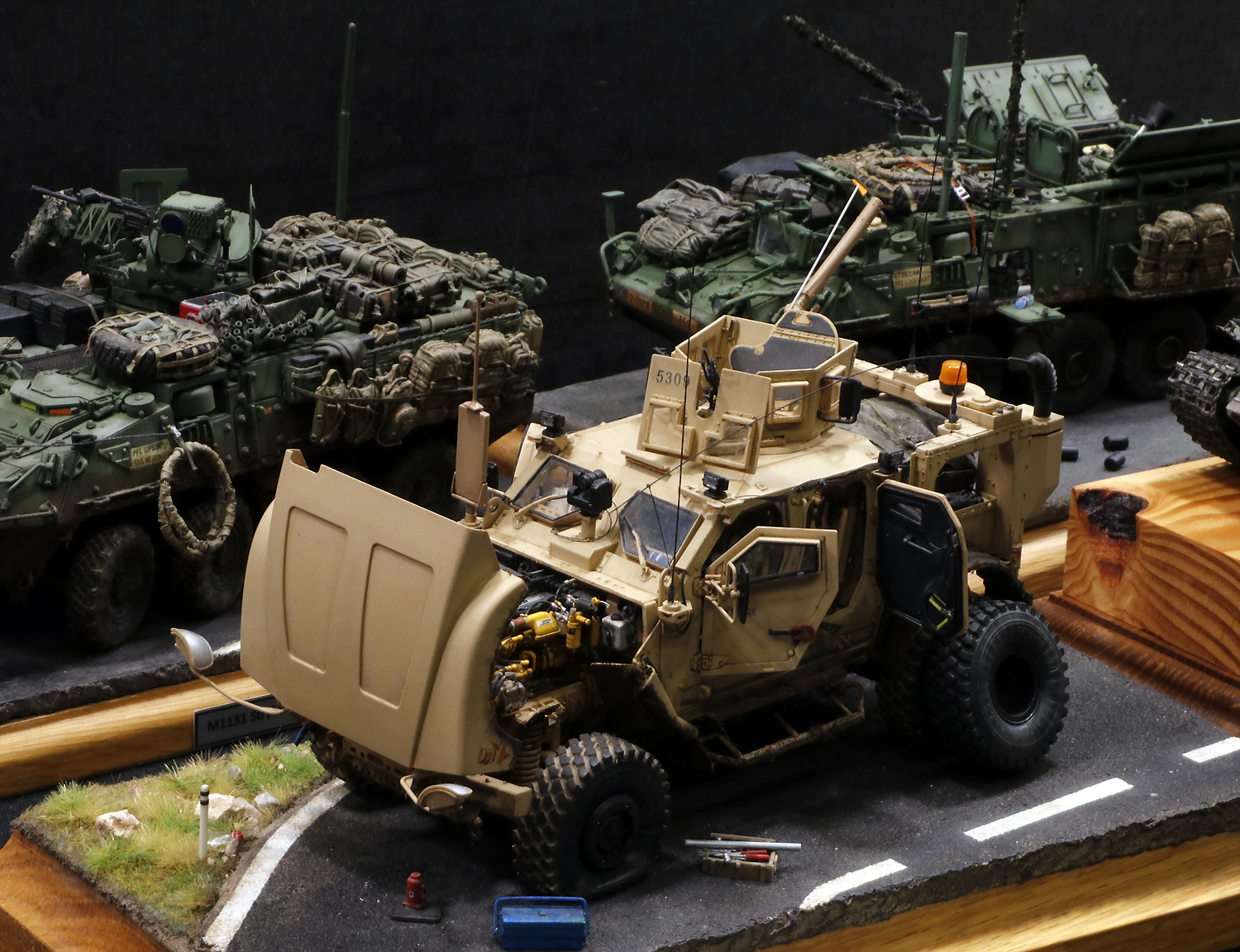 _bMG_9867.JPG