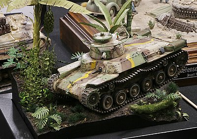 _aMG_8518.JPG