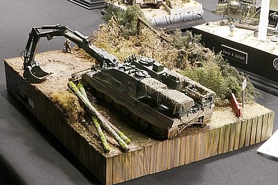 _aMG_8650.JPG