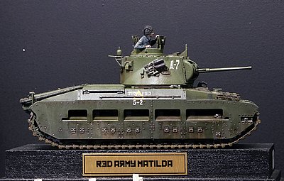 _bMG_8803.JPG