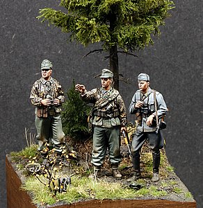 _cMG_9633.JPG