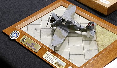 _eMG_9776b.JPG