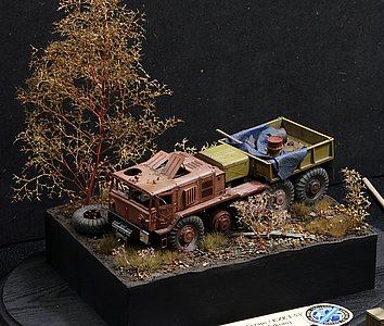 _gMG_8764.JPG