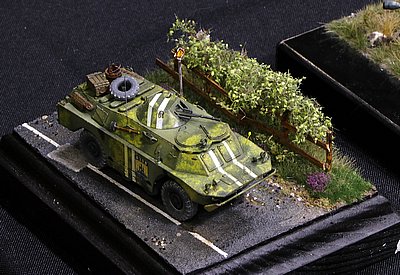 _gMG_8766.JPG