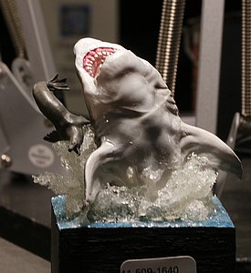 _nMG_8588.JPG