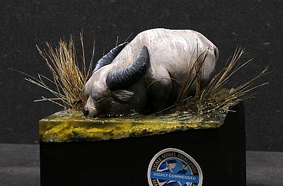 _nMG_9454.JPG