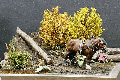 _nMG_9673.JPG