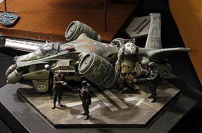 _rMG_8556.JPG