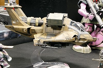 _rMG_8568.JPG