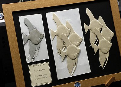 _tMG_9708.JPG