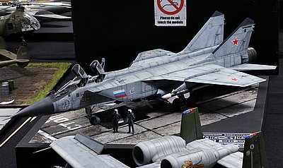 e_MG_6787.JPG