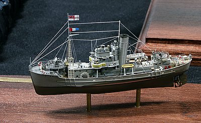i_MG_1193.JPG